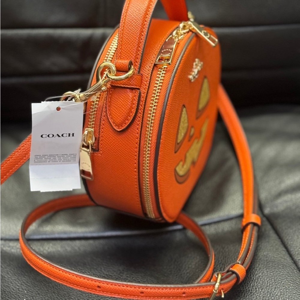 NWT Coach Canteen Crossbody Bag With Halloween Pumpkin Print CW468 - Picture 2 of 12